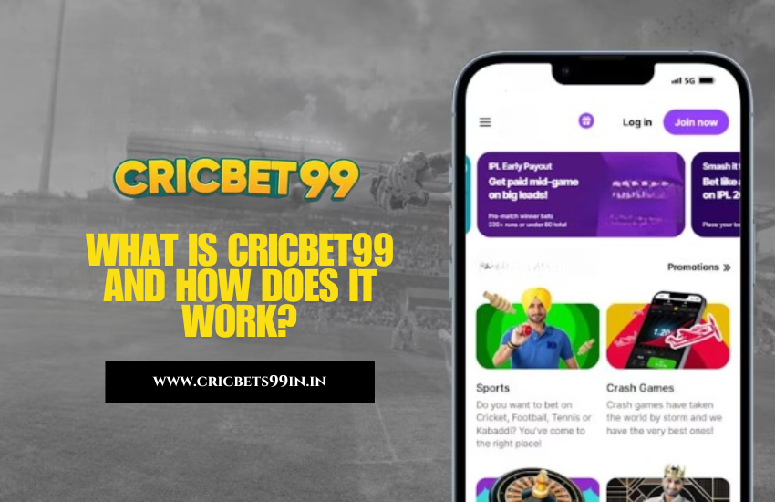Read more about the article What is Cricbet99 and How Does It Work?